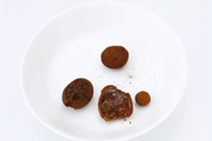 ゴオウ（牛黄）