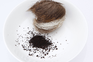 ジャコウ（麝香）