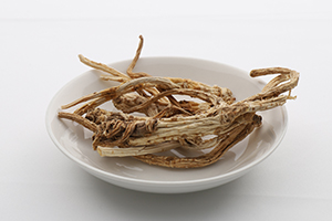 キキョウ（桔梗）