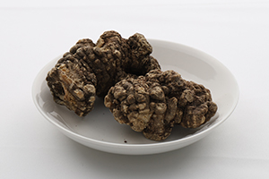 センキュウ（川芎）