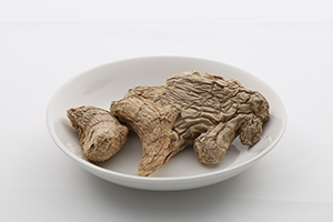 ショウキョウ（生姜）