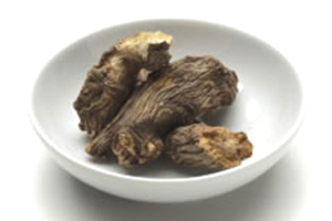 トウキ（当帰）